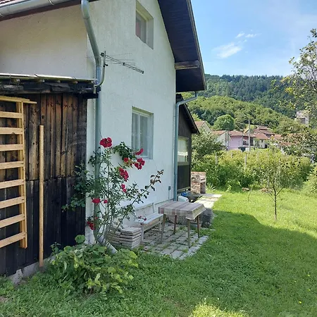 Vikendica Zute Dunje Holiday home *