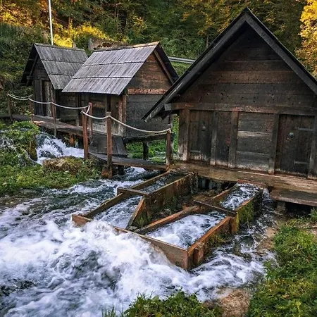 بيت للعطل Vikendica Zute Dunje *