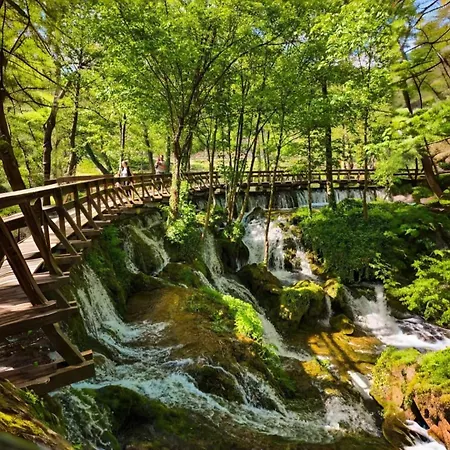 Vikendica Zute Dunje 別荘 *