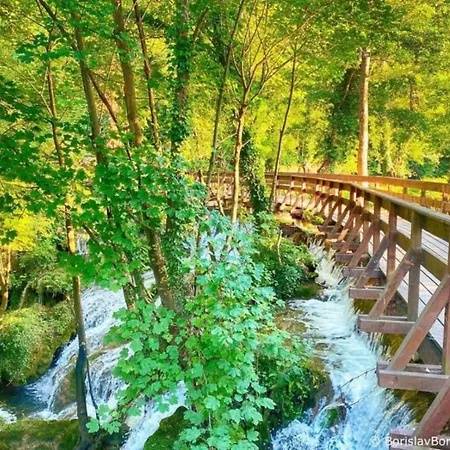 Vikendica Zute Dunje Bravnice 63 Jajce