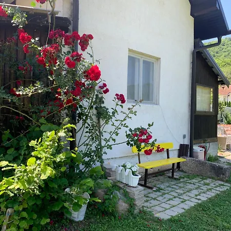 別荘 Vikendica Zute Dunje ヤイツェ