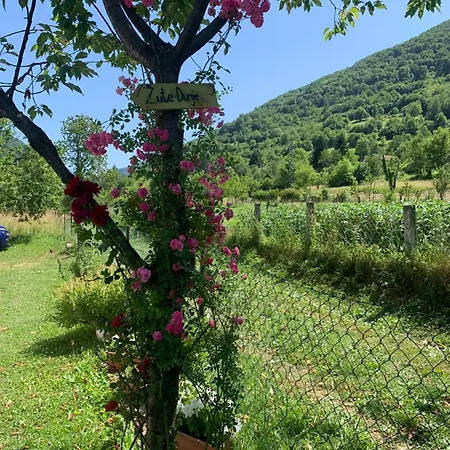Vikendica Zute Dunje Bravnice 63 Jajce